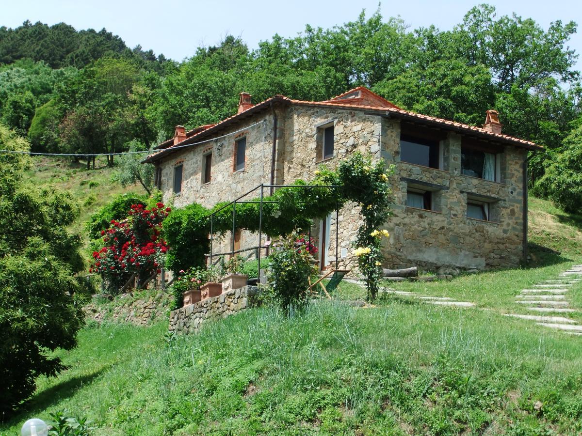 Апартаменти Fattoria Di Pietrabuona Пешя Екстер'єр фото
